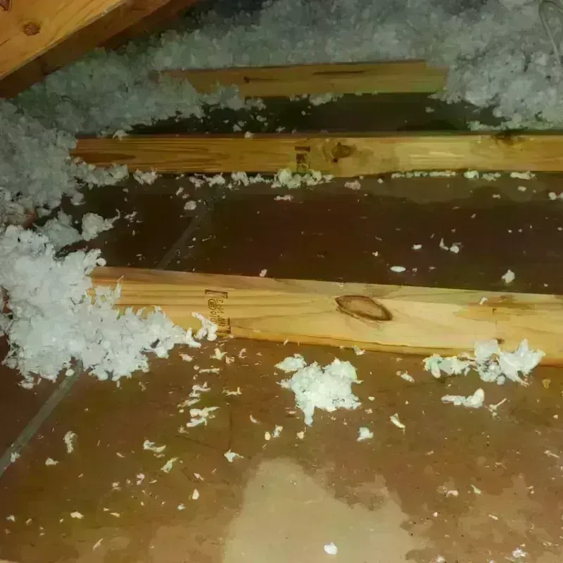 Attic Water Damage in Carroll County, IA