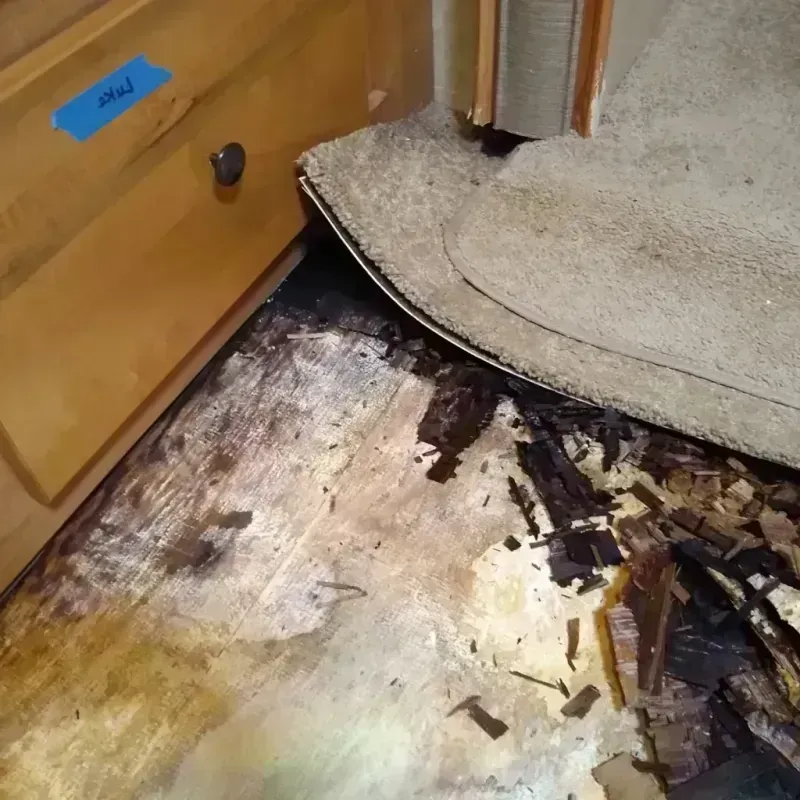 Wood Floor Water Damage in Carroll County, IA